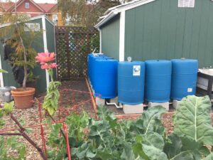 Rainwater Harvesting 101 for Homeowners